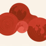 PRESENTACIÓN LITERARIA: "Educación menstrual"