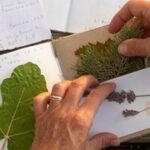 TALLER: "Cuaderno natural"